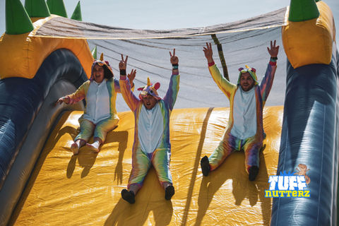 inflatable jumping castle