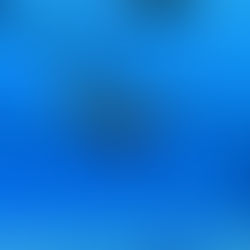 Derinliklere Dalmak: Su Altında Bir Hayat