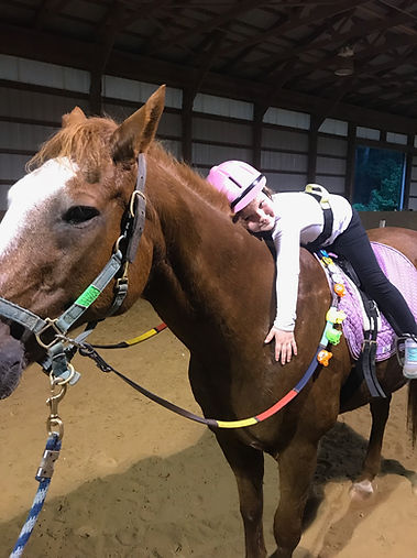 One of our horses we use for Hippotherapy