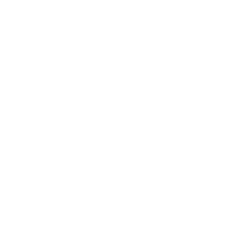 fehrs_icon_safety.png
