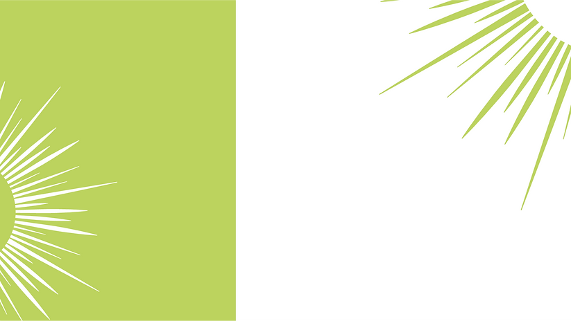 bella main background.png