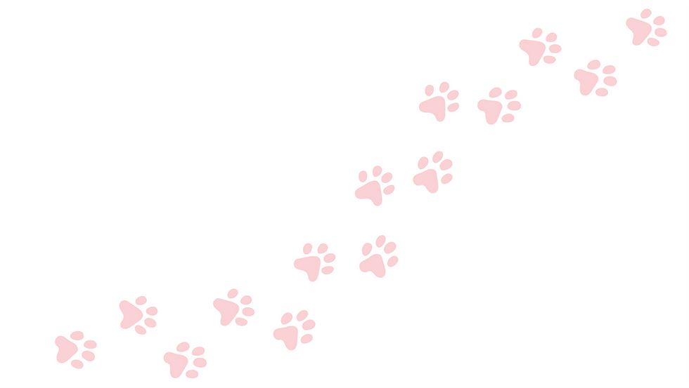 paw background.png