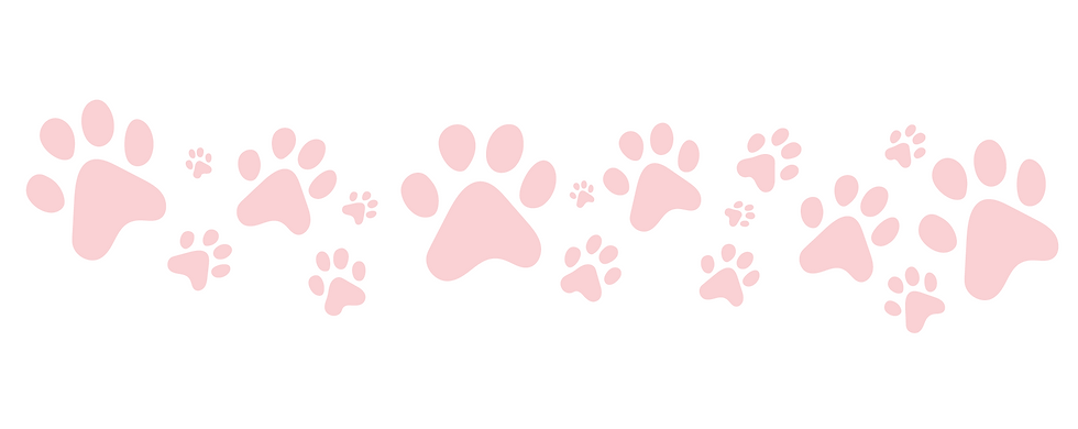 slider bg.png