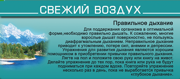 свежий воздух.PNG