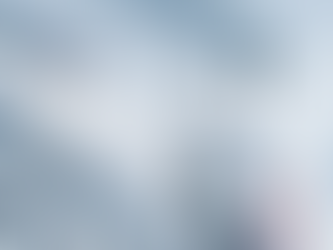 GameStops the Stocks