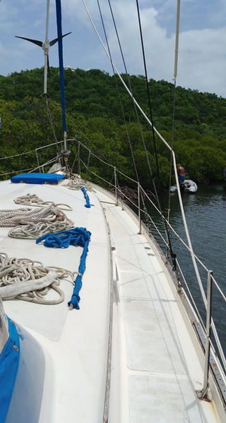 Screenshot_20250905_113617_Photos (1).jpg