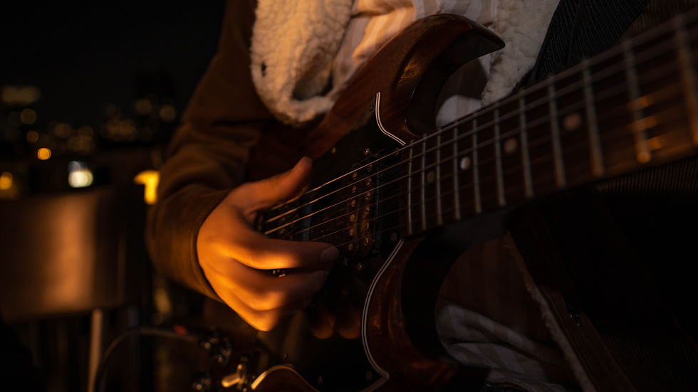 Palmar_Acoustic_Duo3