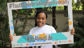 50th MAB Celebration