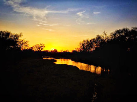 Risk, Vulnerability and Resilience in the Limpopo River Basin 