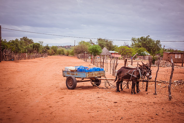 The Conservation Continent - Positioning Africa for a Post-Covid Lifestyle Shift