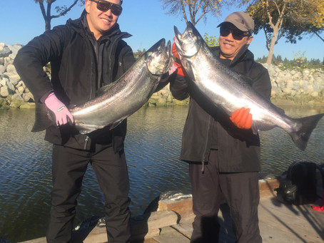 Mid October Fishing Report