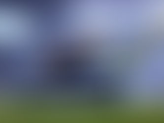 Time do Cruzeiro no Brasileirão 2025