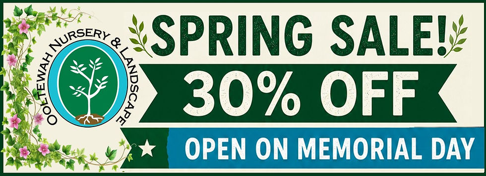 2026 Memorial Day Sale-SLIDE