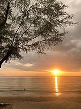 IMG-20240316-WA0010 (1) (1).jpg