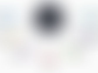 Special Ed Management Software