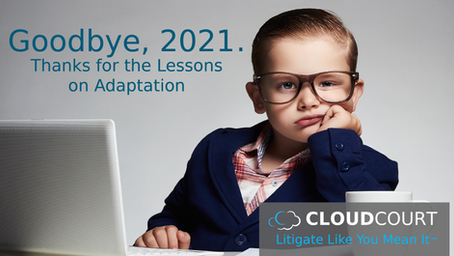 Goodbye, 2021, Thanks for the Lessons on Adaptation