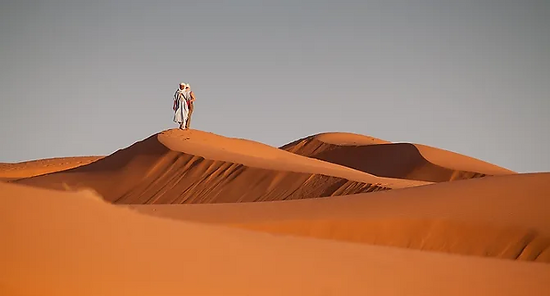 MOROCCO SPRING 2023 _ Rhonda Nolan.png