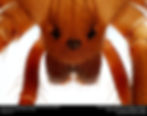 Brown recluse eyes are placed with a pair eyes on each side of the head and a pair in the front.