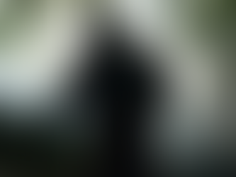 Sasquatch Sightings in the Granite State: Fact or Folklore?
