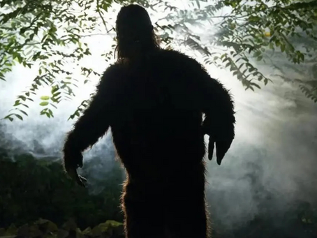 Sasquatch Sightings in the Granite State: Fact or Folklore?
