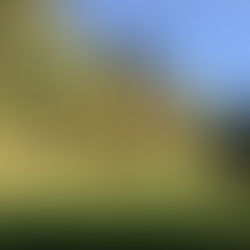 Upper Field | Oberfeld