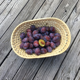 Plums | Zwetschgen