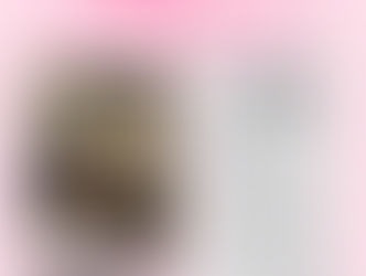 みやぎ星野さんを救う会 総会へ
