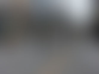 2.8星野・大坂街頭宣伝