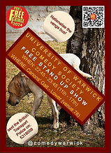 Warwick Comedy Fringe Flyer 2024.png