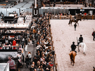 Salon du Cheval de Paris 2026 : quel billet choisir pour votre visite ?