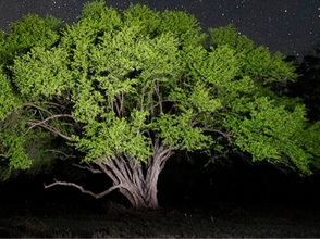 Max Laroche - Photographer Showcasing the Beauty of Haiti