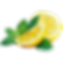 Lemon half, lemon slice, and mint leaves