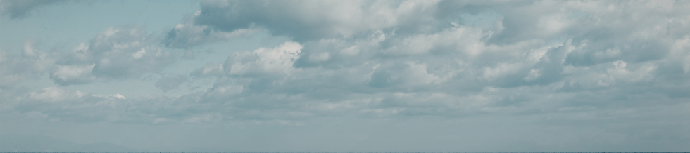 Untitled design (7).png