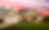 Untitled design (1).png