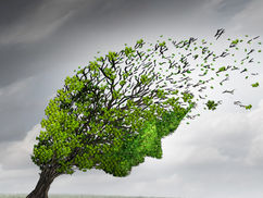 Does Nature Get Anxiety?