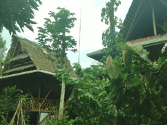 Off The Grid Jungle Life in Costa Rica