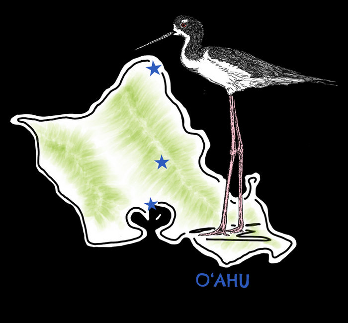 A fascinating, compact, tidbit filled with interesting information.