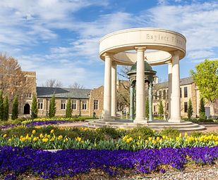 240328 Campus-Spring-Tulips 041.JPG