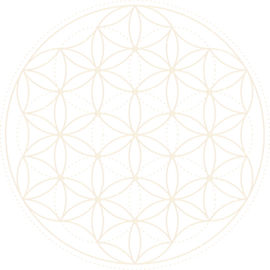 TVS_Flower of Life.png