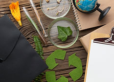 top-view-plants-study-items.jpg