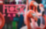 FLOCK PARTY 2025 - Denver Zoo's Signature Annual Event