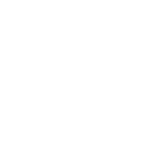 Trinity Inc Logo Flat White.png