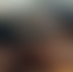 Político de Platão