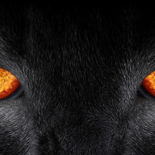 Histórias Extraordinárias de Edgar Allan Poe