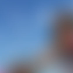 The Florida Project (2017)