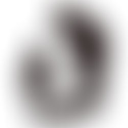 O Lobo da Estepe de Hermann Hesse