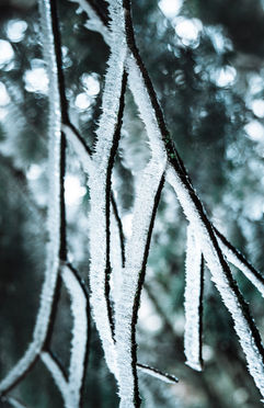 20220101-Oregon Trip-1.jpg