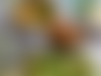 Pampered Chef Katalog Frühjahr/Sommer 2026