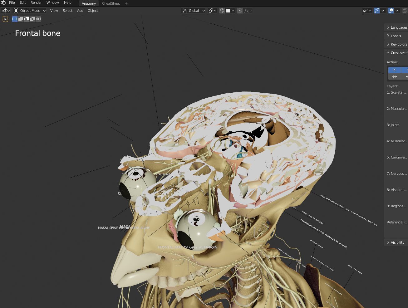 Cross Section Textures in Blender content media