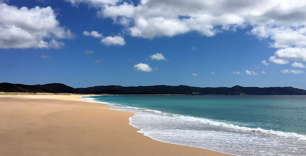 De Maori geloven dat de geest van de overledenen zich hier verzamelen voordat ze via Cape Reinga de wereld van de levenden verlaten